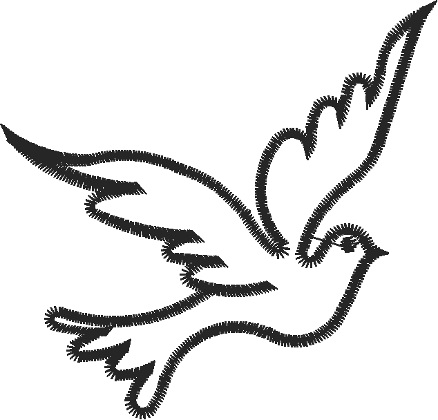 Birds 20 (95)