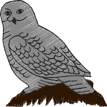 Birds 21 (10)