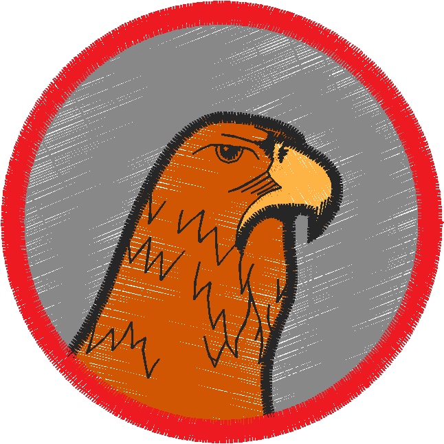 Birds 21 (18)