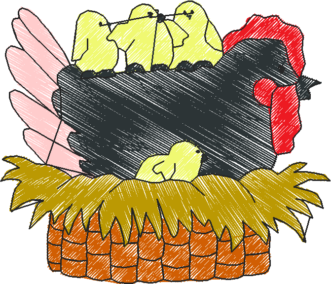 Birds 21 (41)