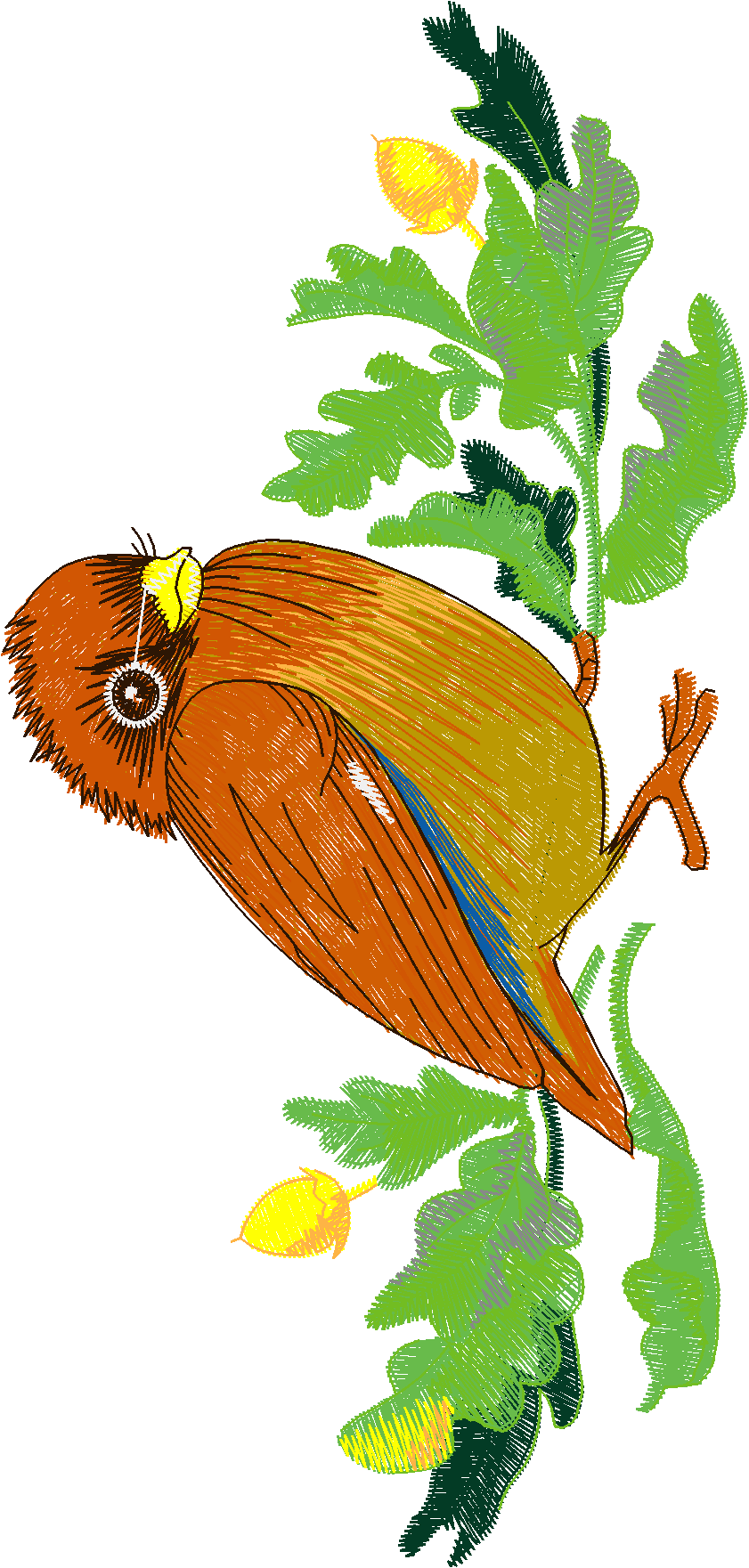 Birds 21 (46)
