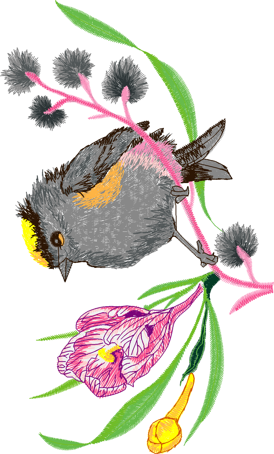 Birds 21 (55)