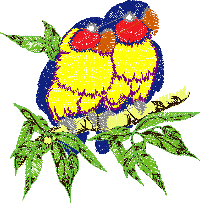 Birds 21 (64)