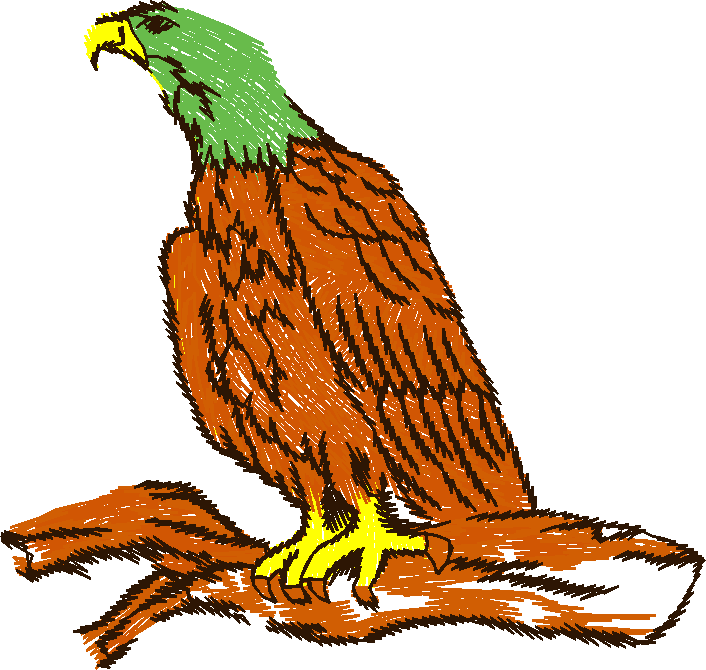 Birds 22 (11)