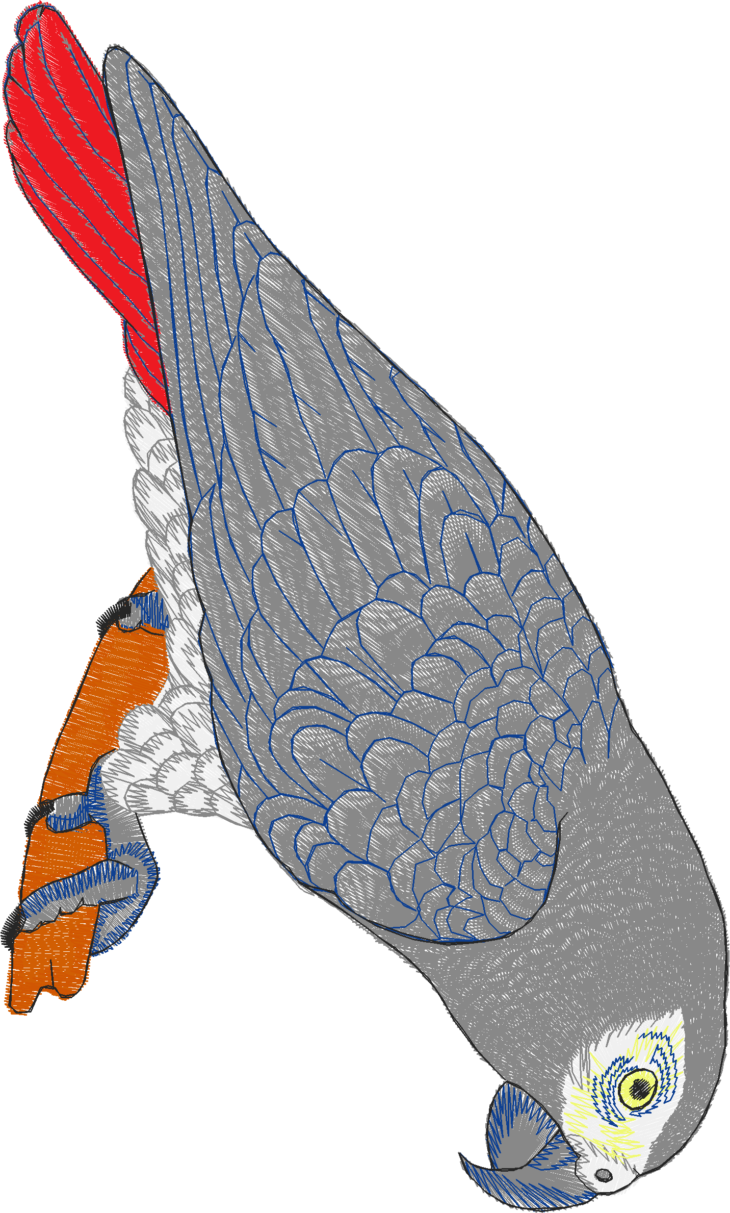Birds 22 (23)