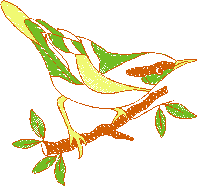 Birds 22 (36)