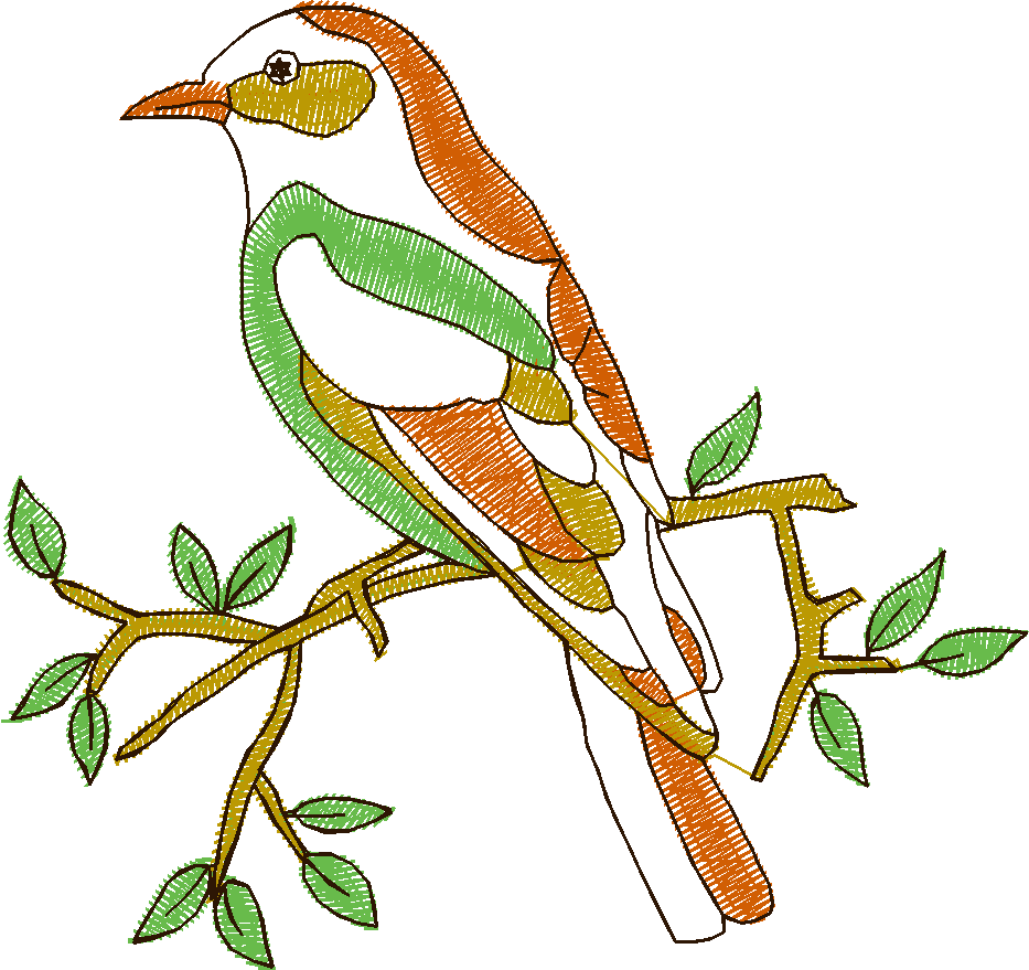 Birds 22 (37)