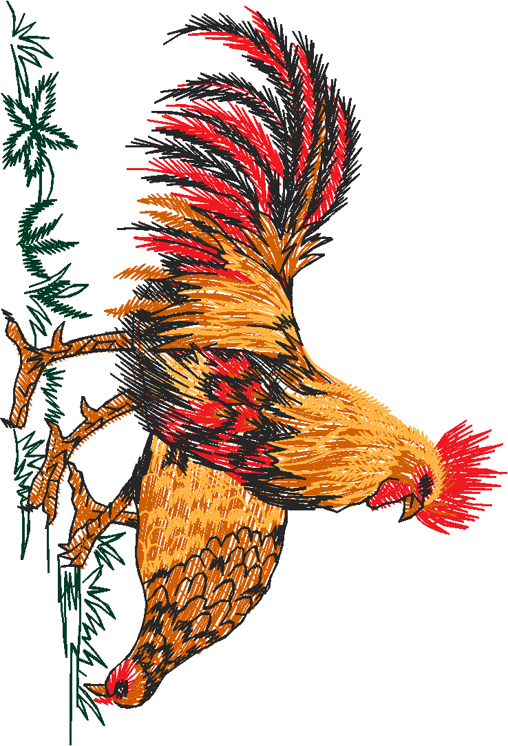 Birds 22 (48)