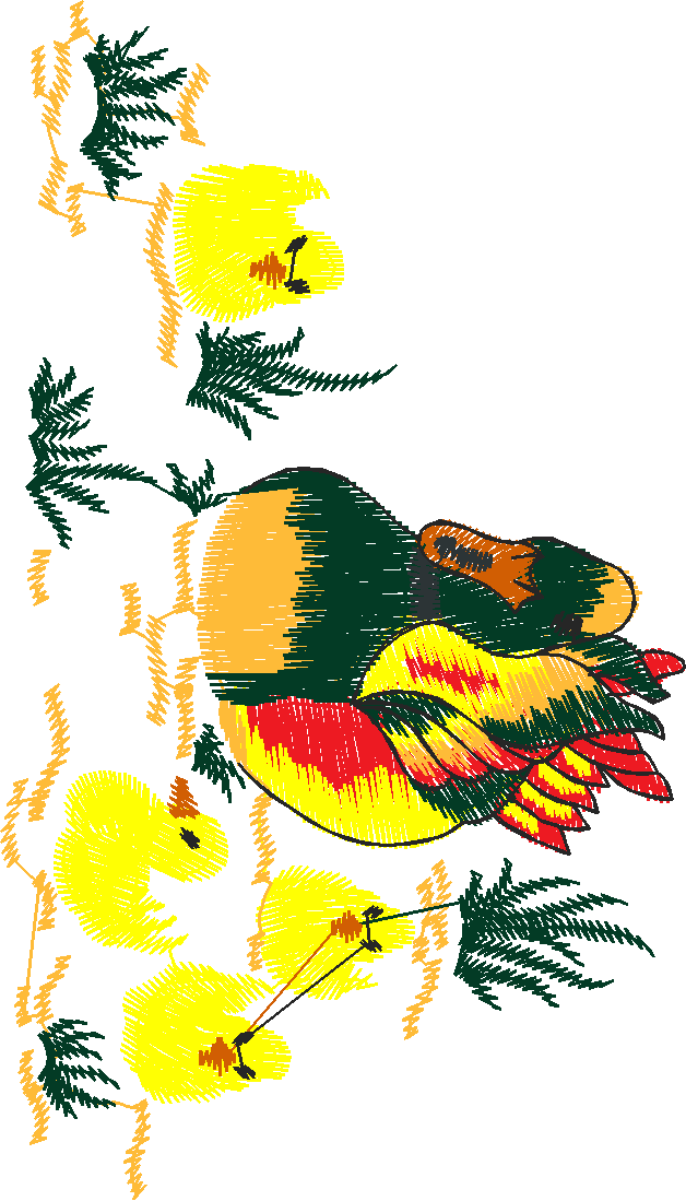 Birds 22 (49)