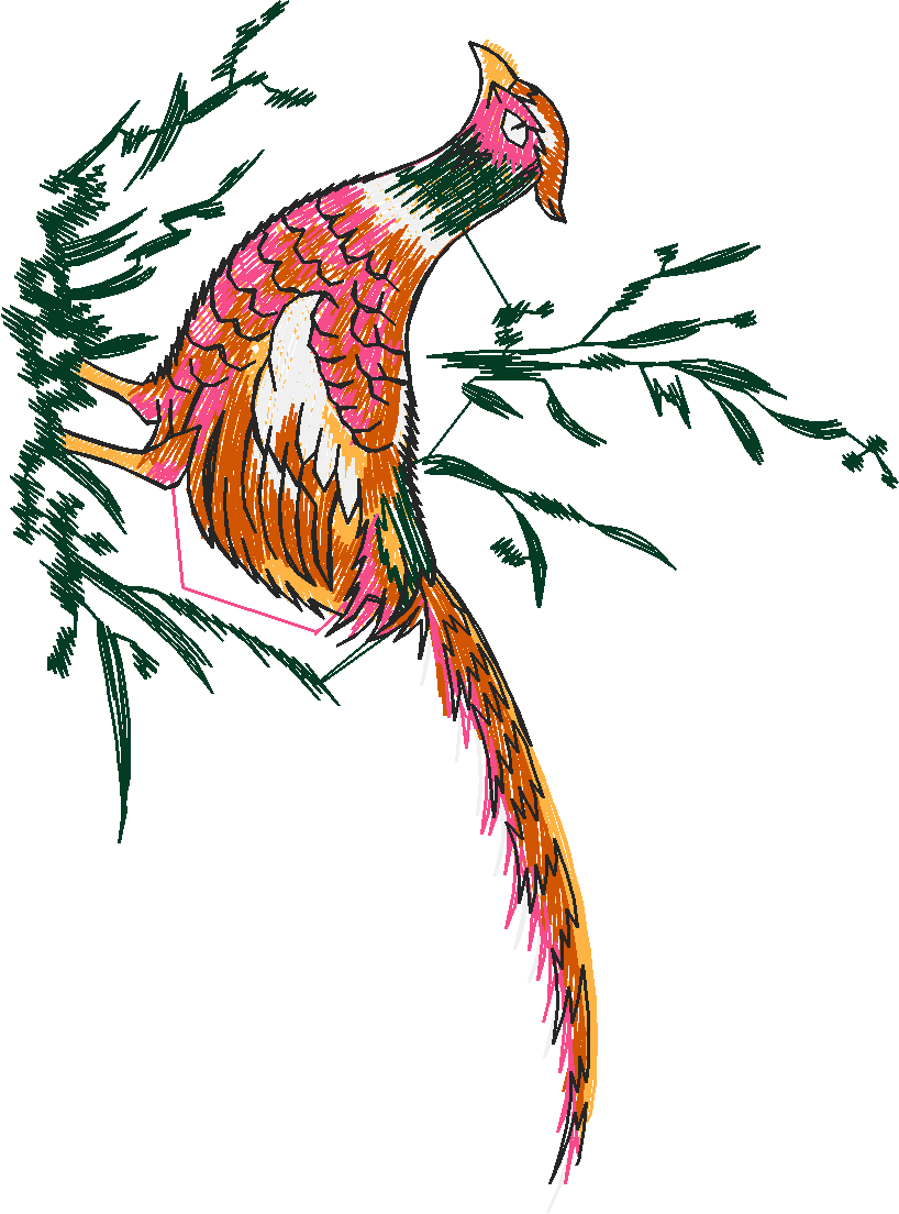 Birds 22 (50)