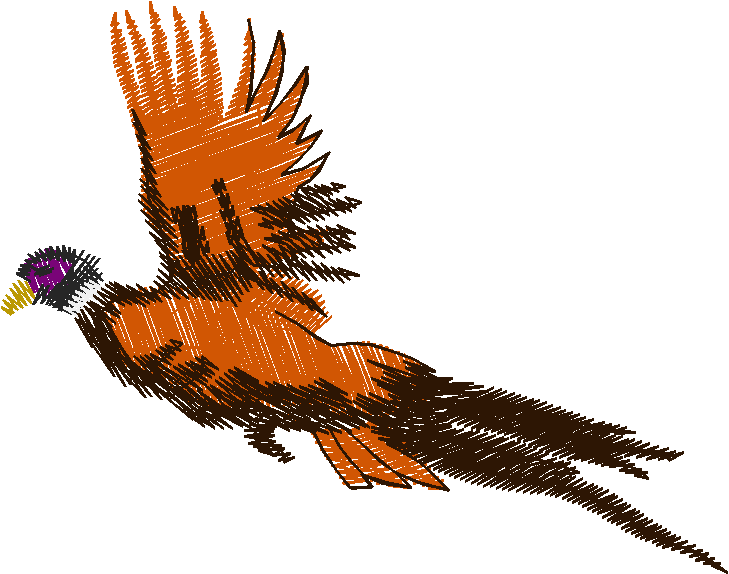 Birds 22 (7)