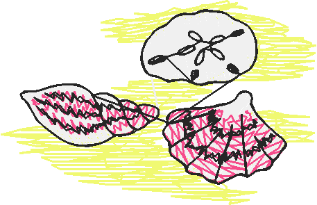 Birds 22 (70)