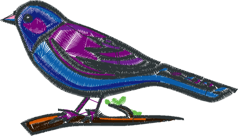 Birds 23  (3)