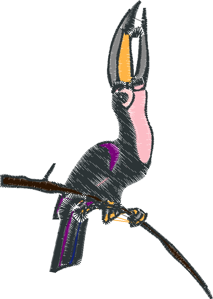 Birds 23  (7)