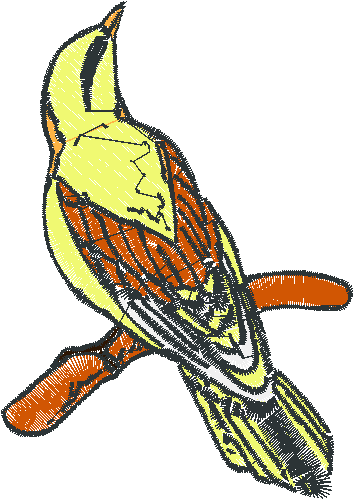Birds 23  (8)
