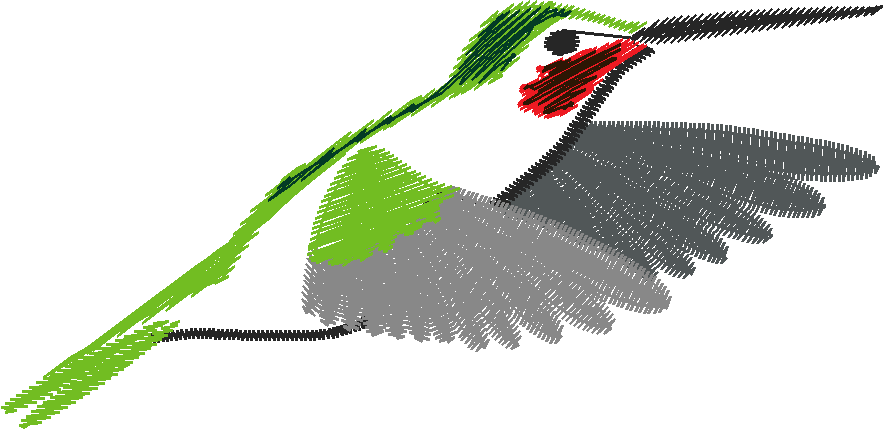 Birds 3 (6)