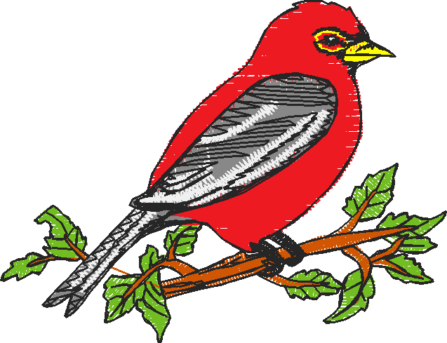 Birds 5 (13)