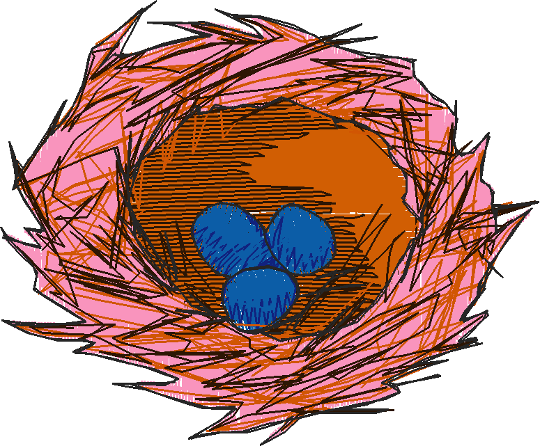 Birds 5 (16)