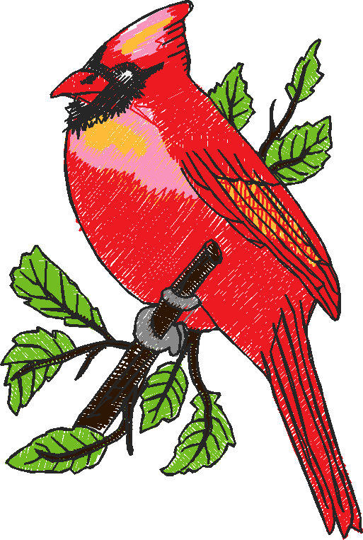 Birds 5 (8)