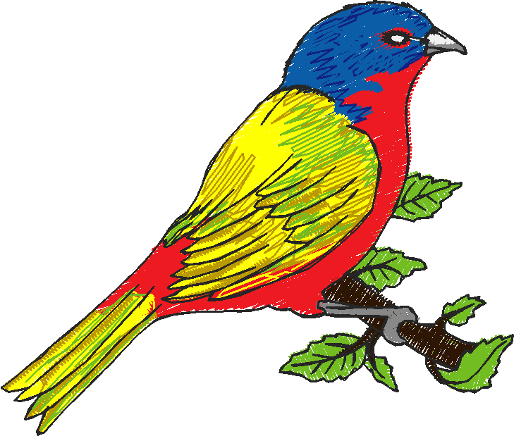 Birds 5 (9)