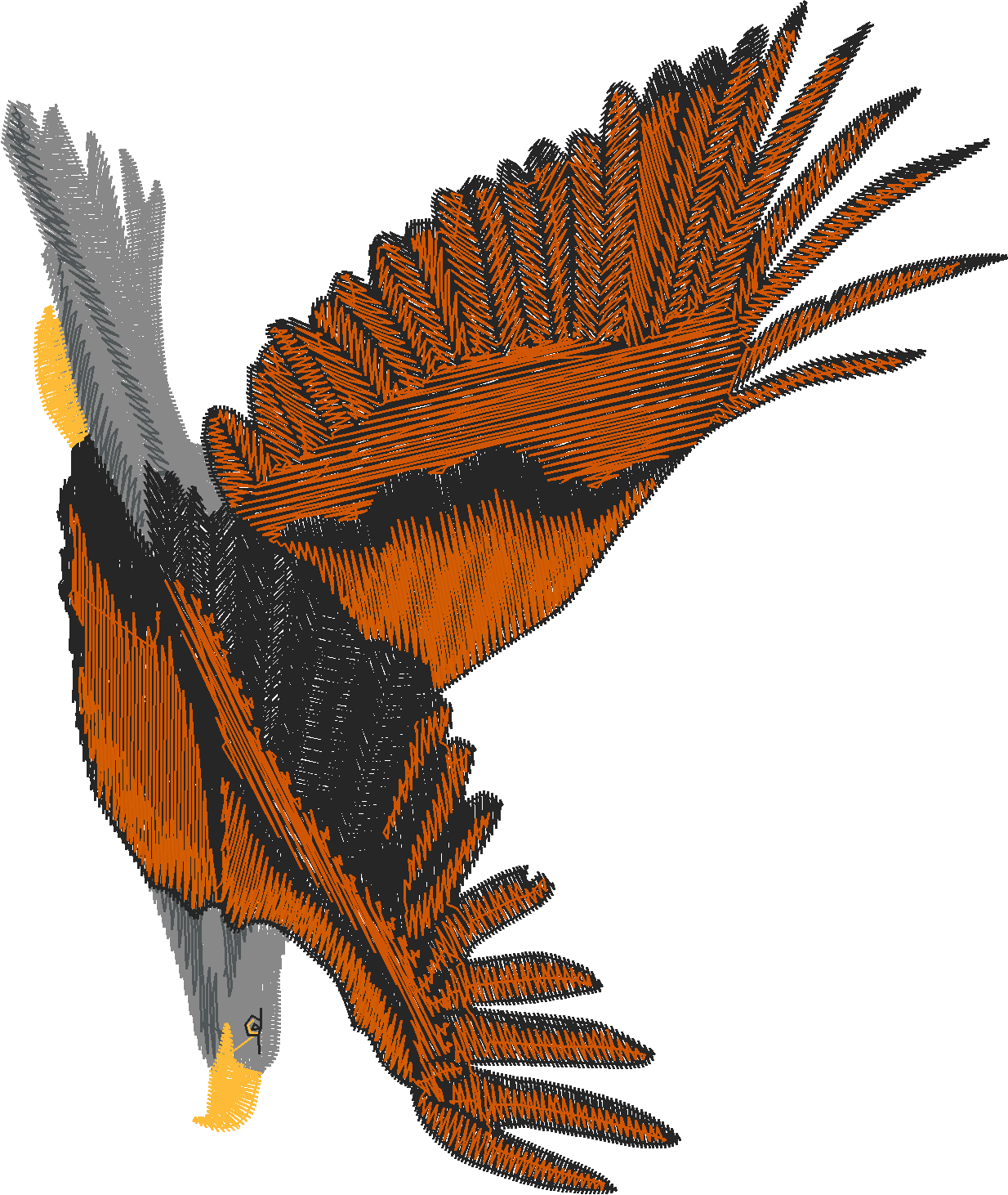 Birds 6 (3)
