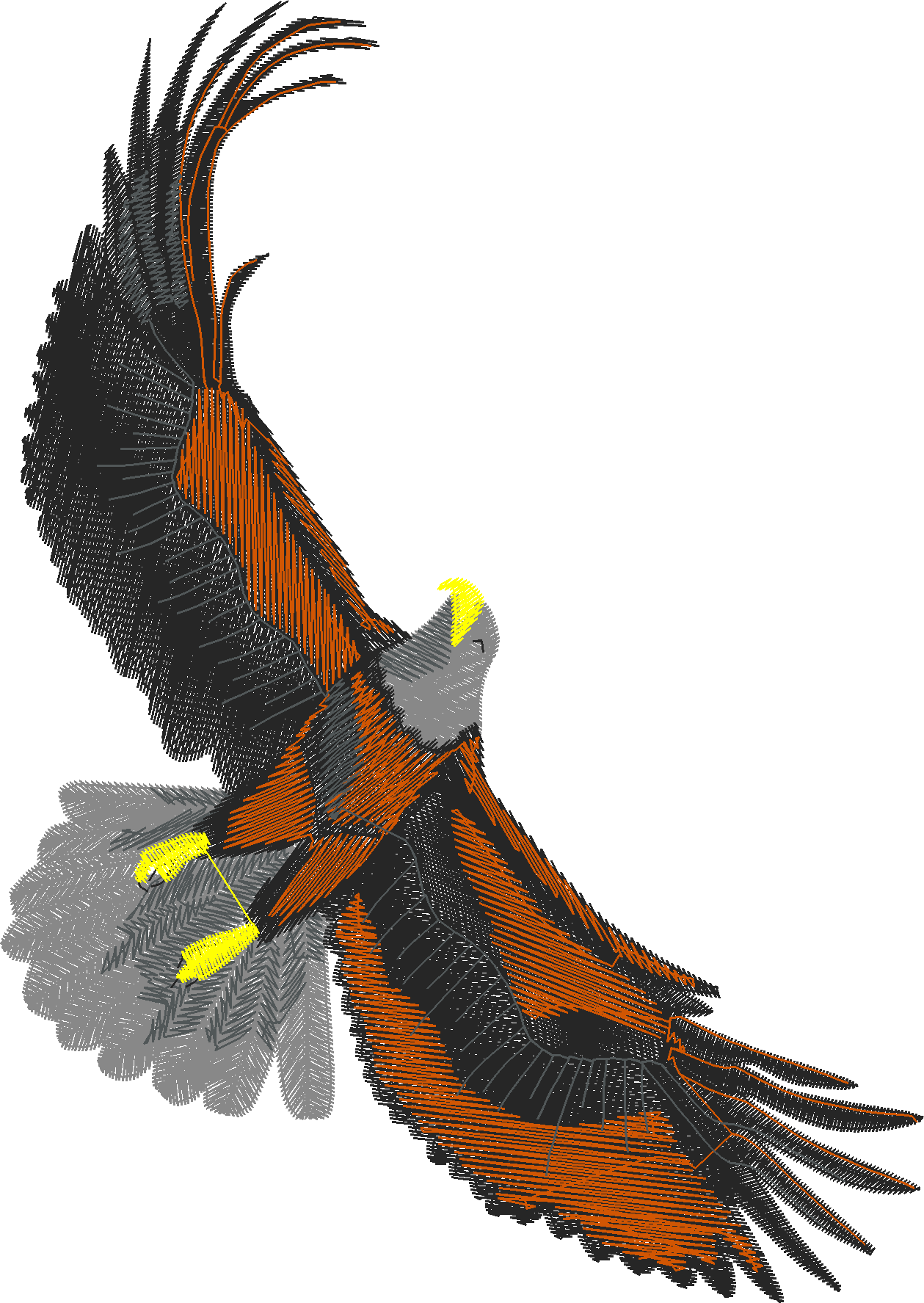 Birds 6 (4)