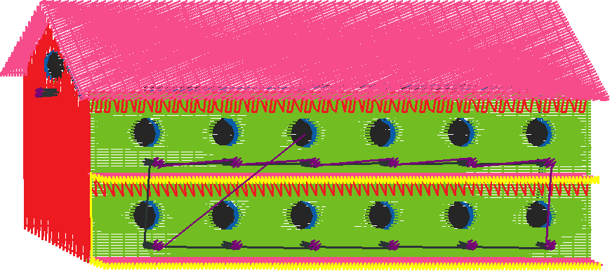 Birds 8 (15)