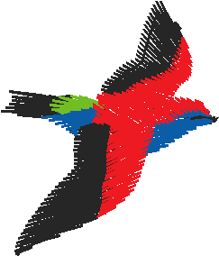 Birds 8 (23)