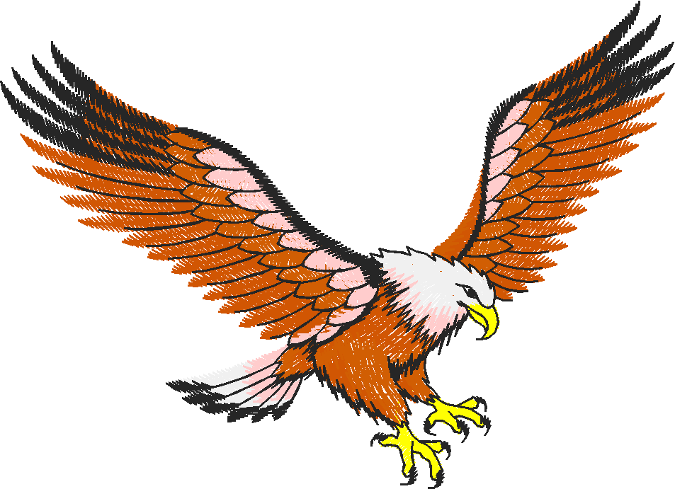 Birds 9 (1)