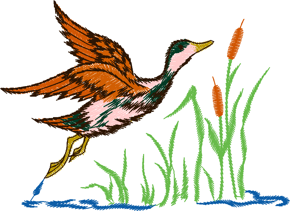 Birds 9 (13)