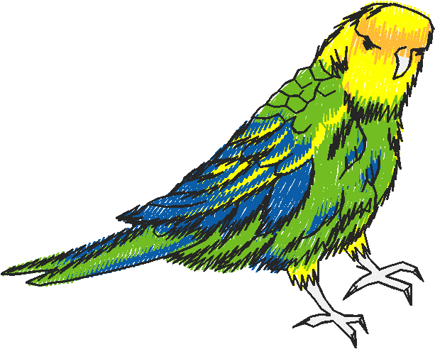 Birds 9 (7)