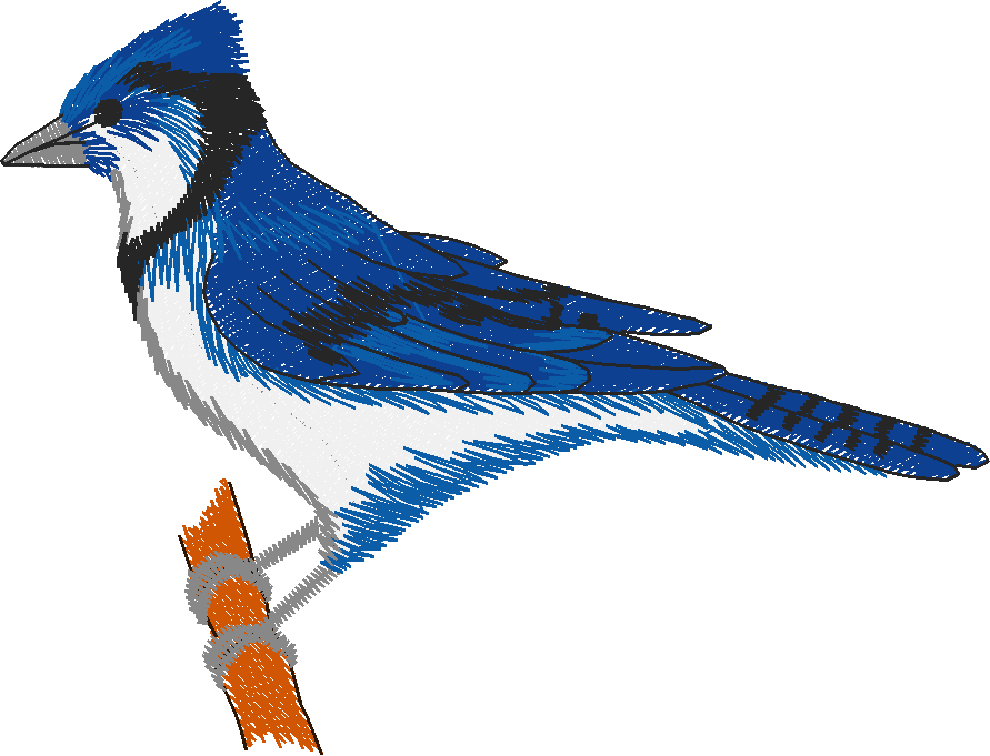 Birds & Butterflies 1 (10)