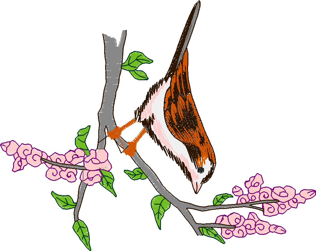 Birds & Butterflies 1 (15)