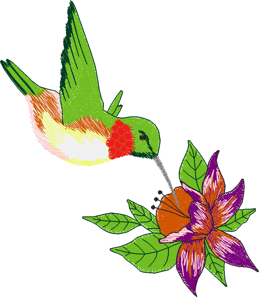 Birds & Butterflies 1 (5)