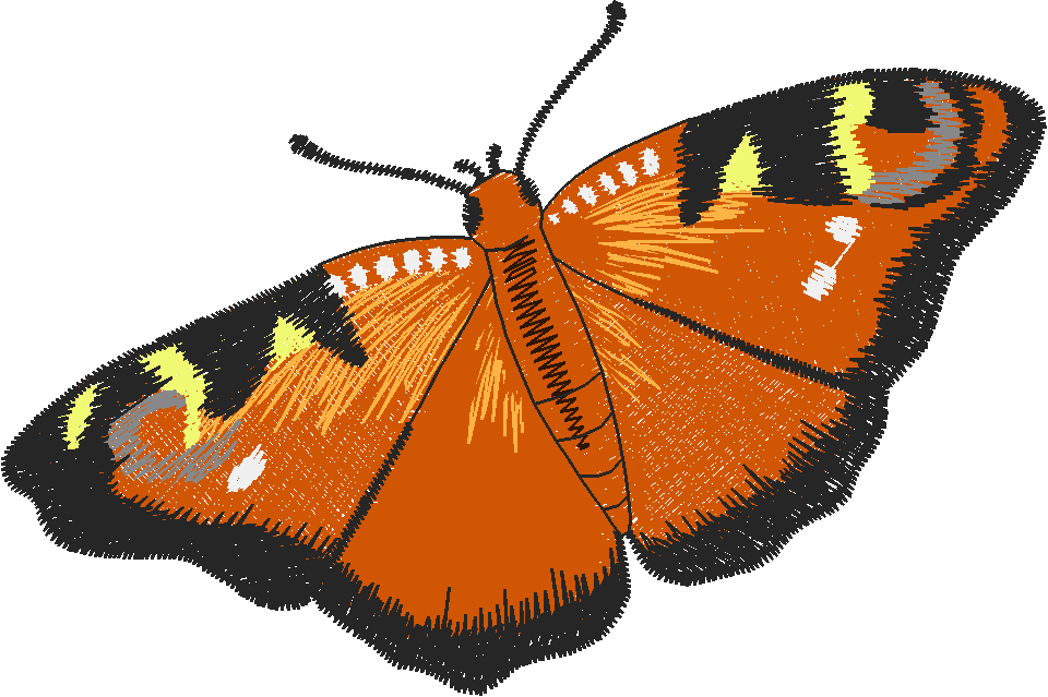 Birds & Butterflies 1 (8)