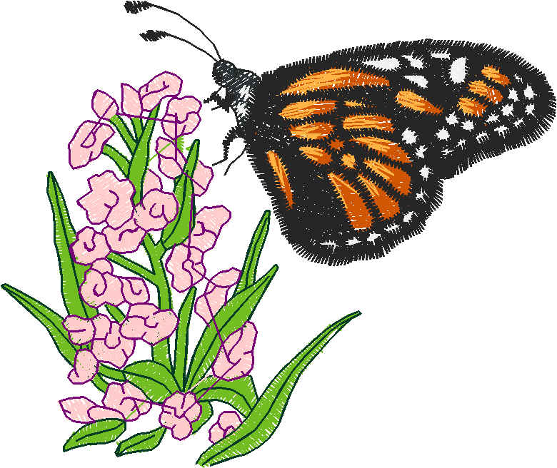 Birds & Butterflies 1 (9)