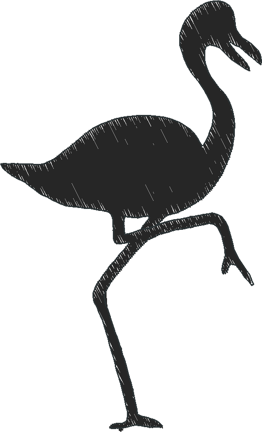 Animal bird01