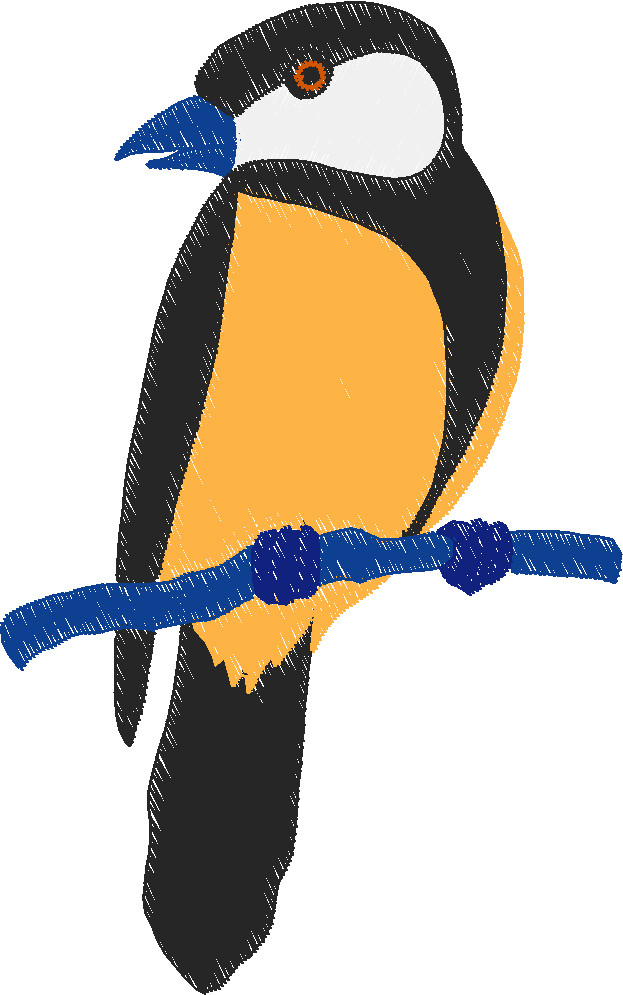 Animal bird1