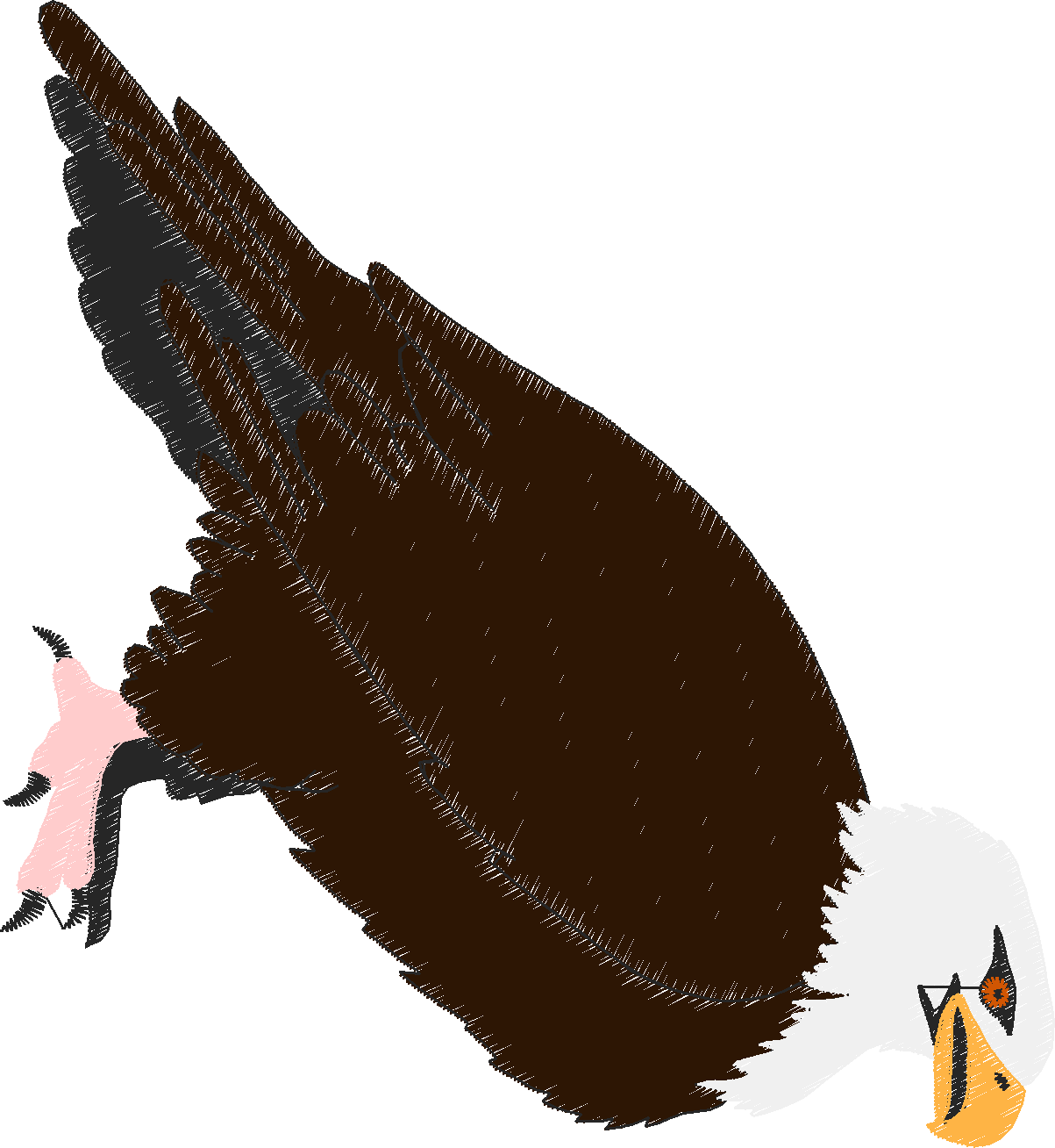 Animal bird10