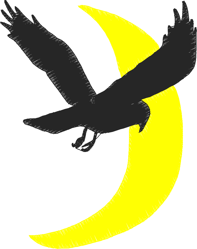 Animal bird11