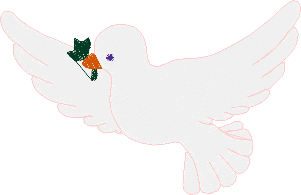 Animal bird12