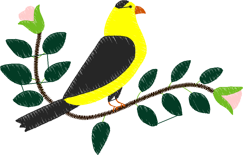 Animal bird13