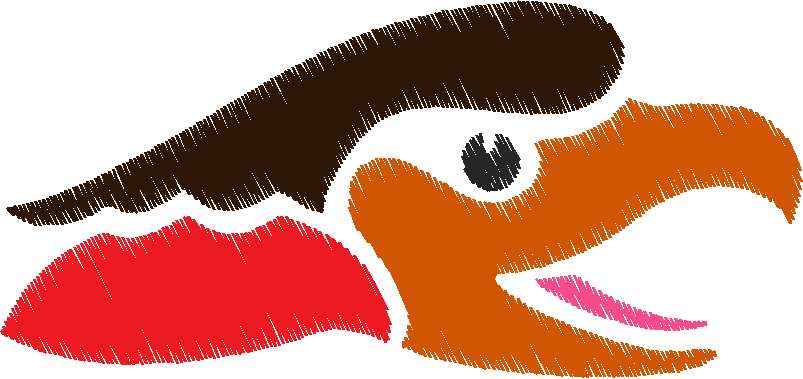 Animal bird14