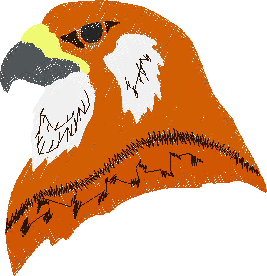 Animal bird16