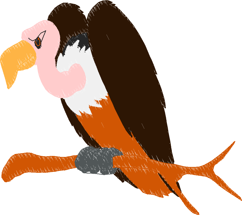Animal bird17