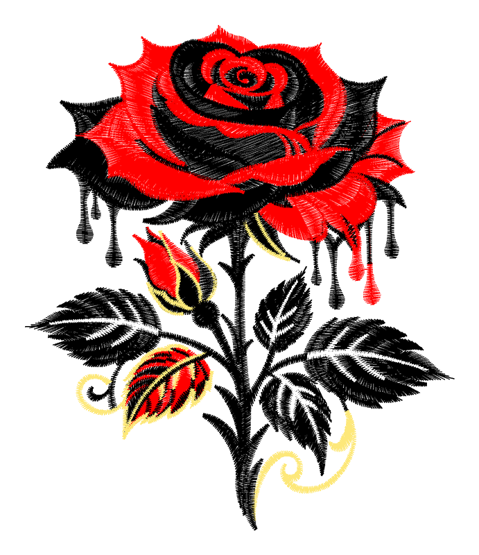 black rose