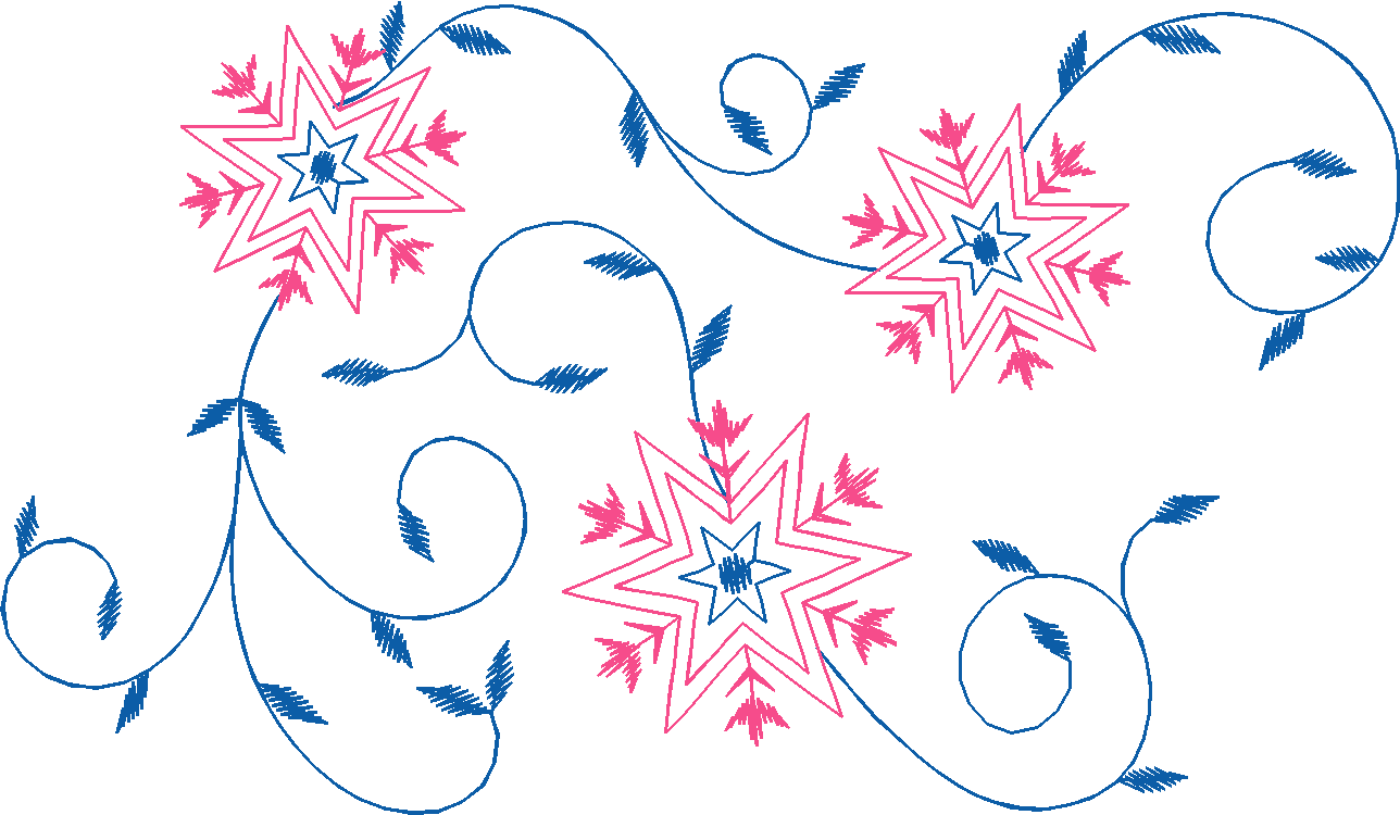 Blouse Embellisments