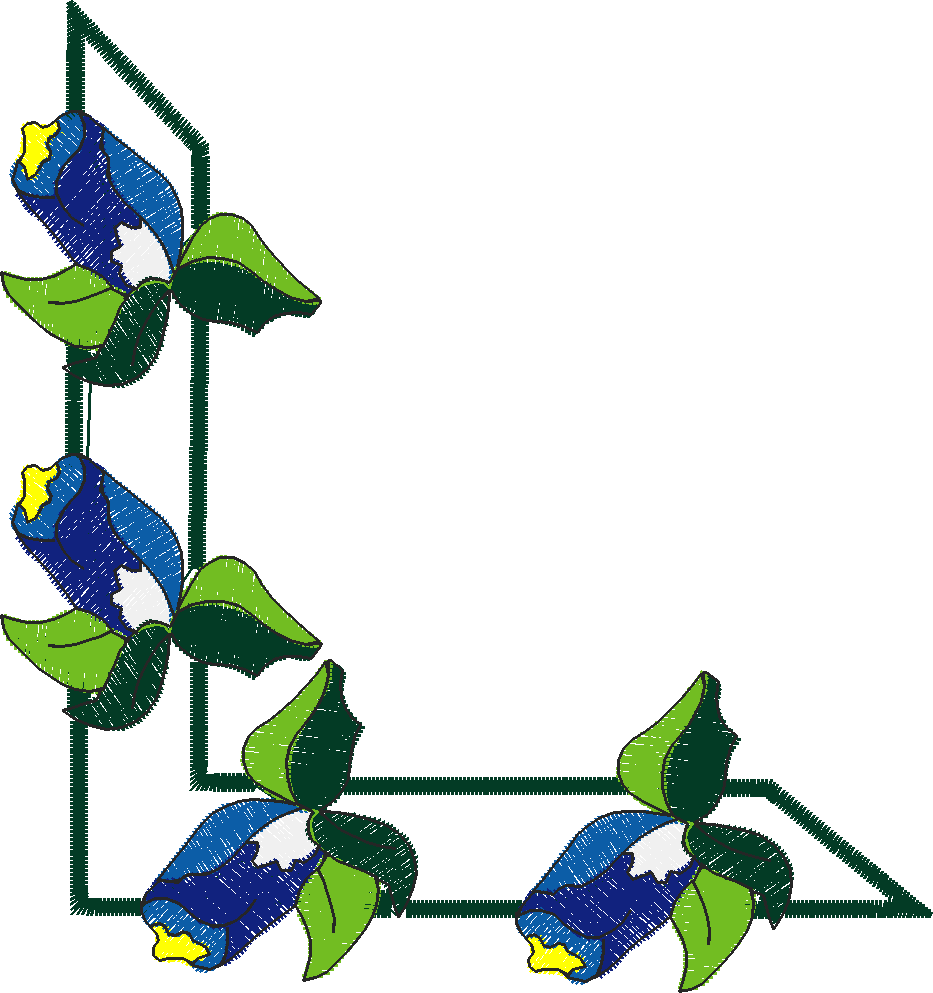 Borders 10 (10)