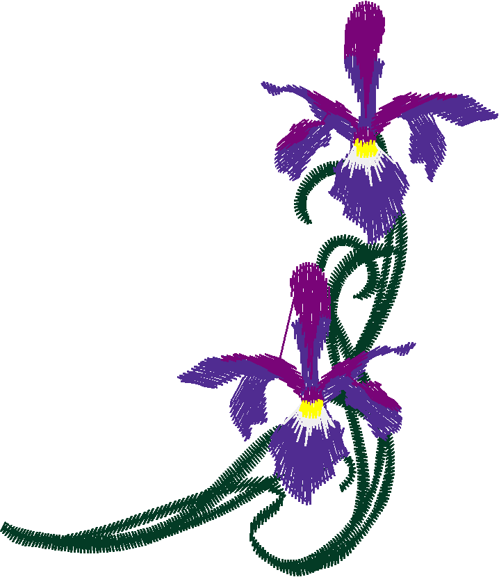 Borders 13 (5)