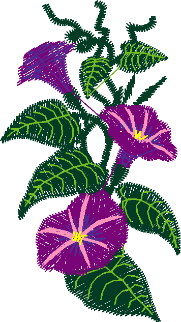 Borders 14 (7)